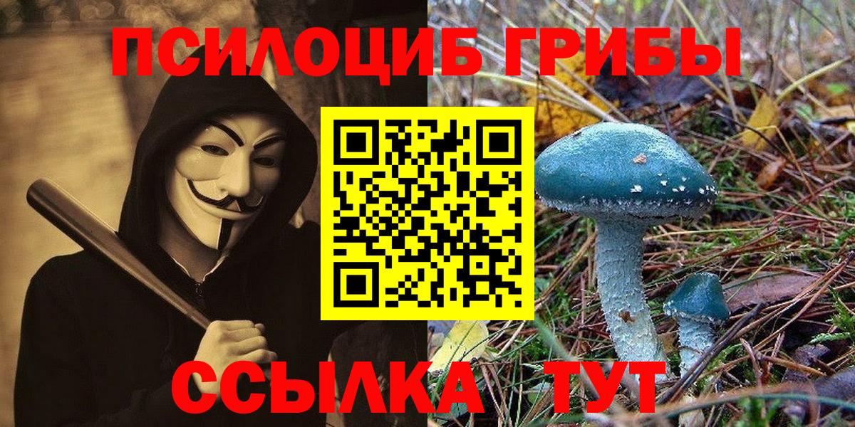 Псилоцибиновые грибы GOLDEN TEACHER Екатеринбург